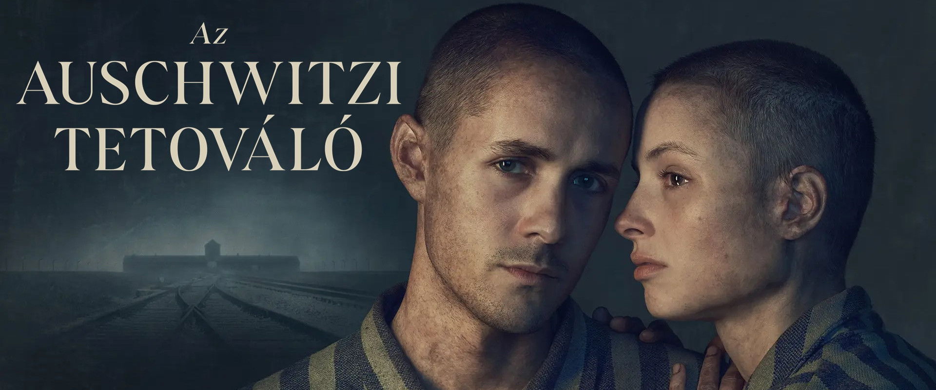 The Tattooist of Auschwitz's banner image