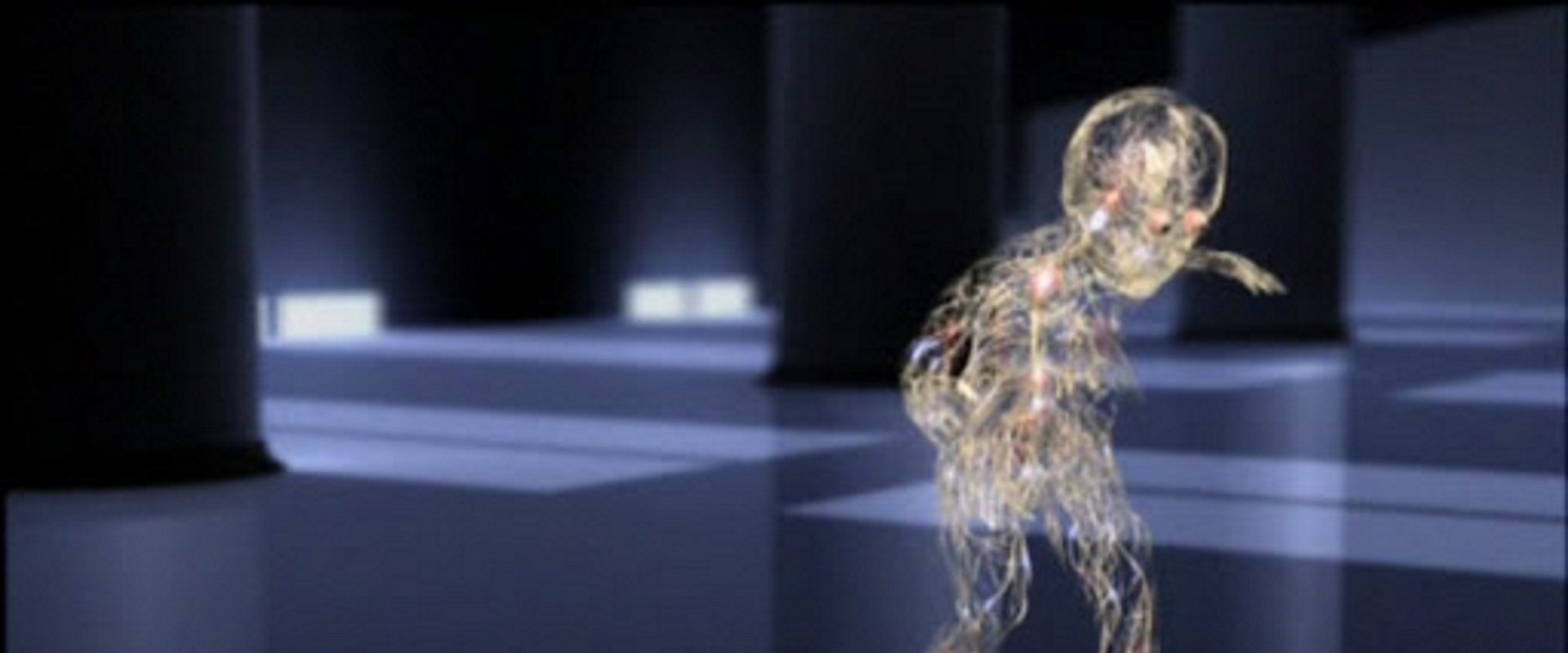 Human Senses