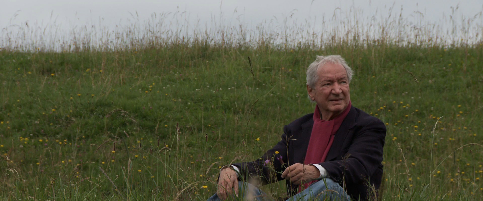 Jean-Jacques Rousseau, tout dire's banner image