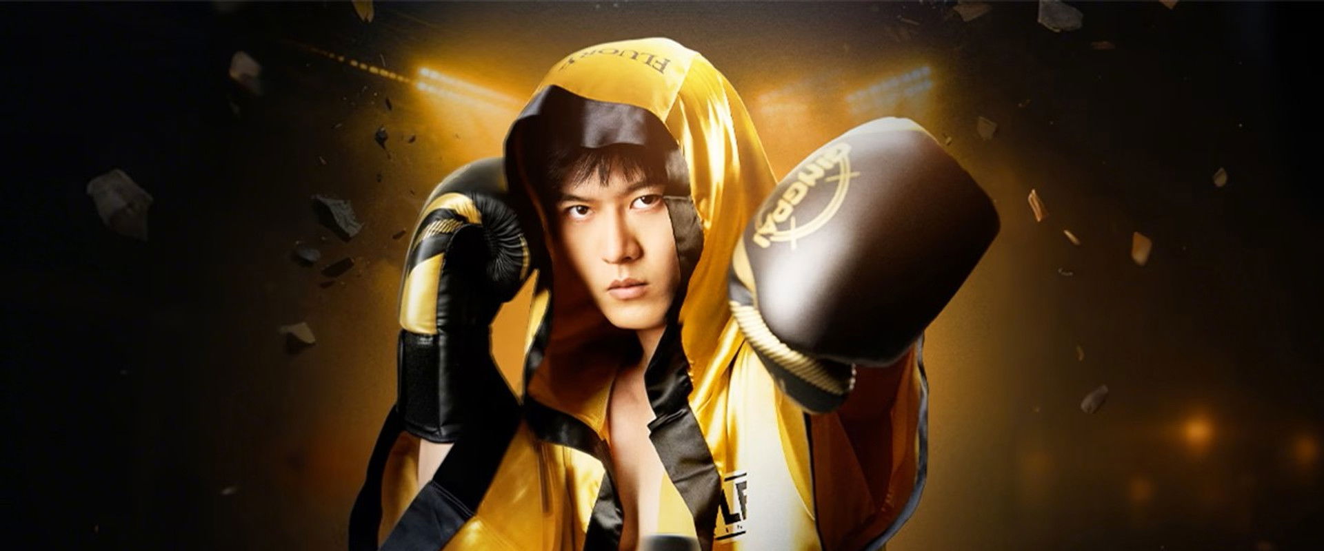 Fight's banner image