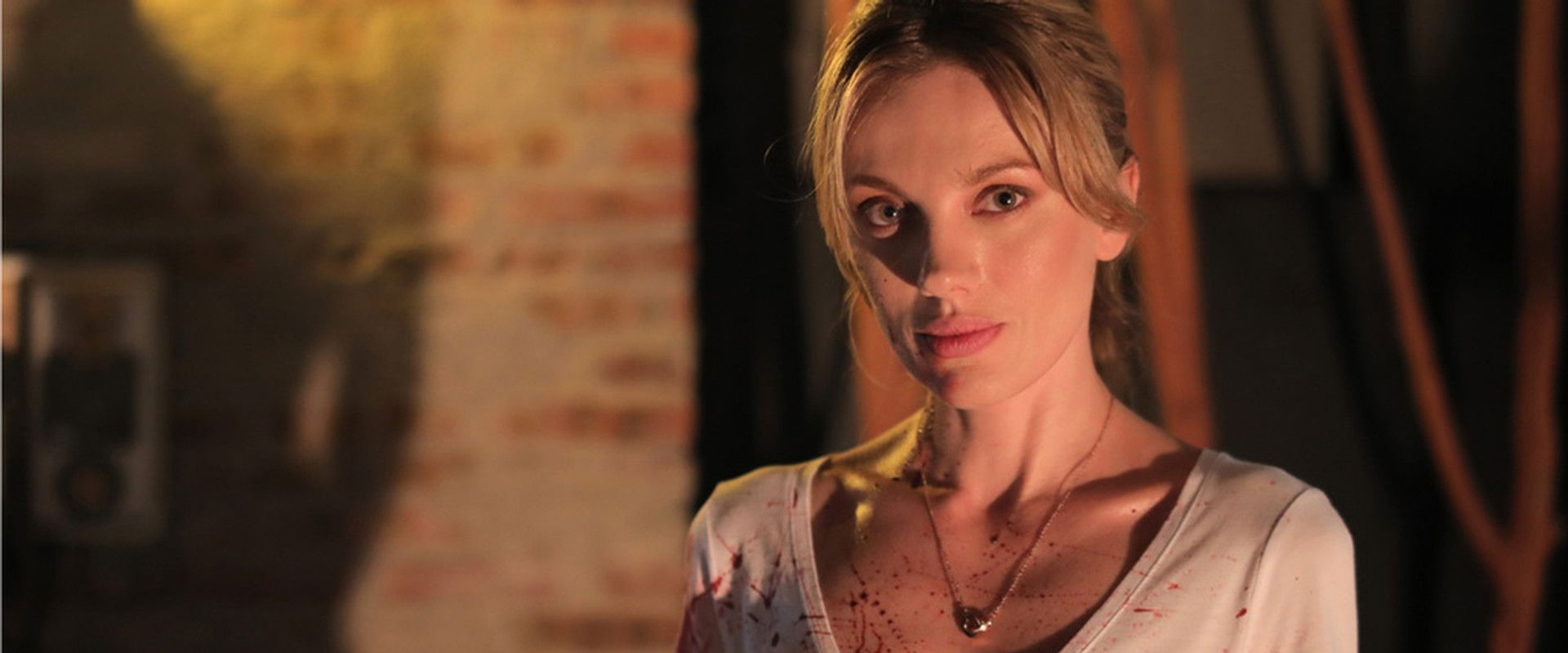 Painted Beauty's banner image