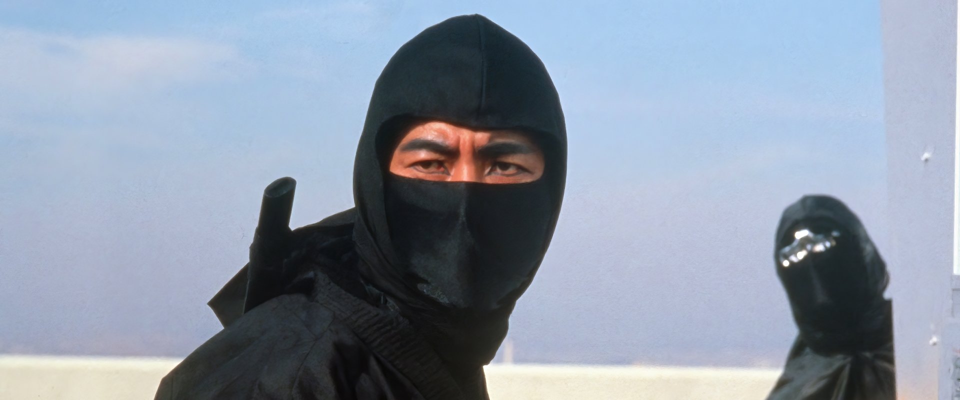 Revenge of the Ninja
