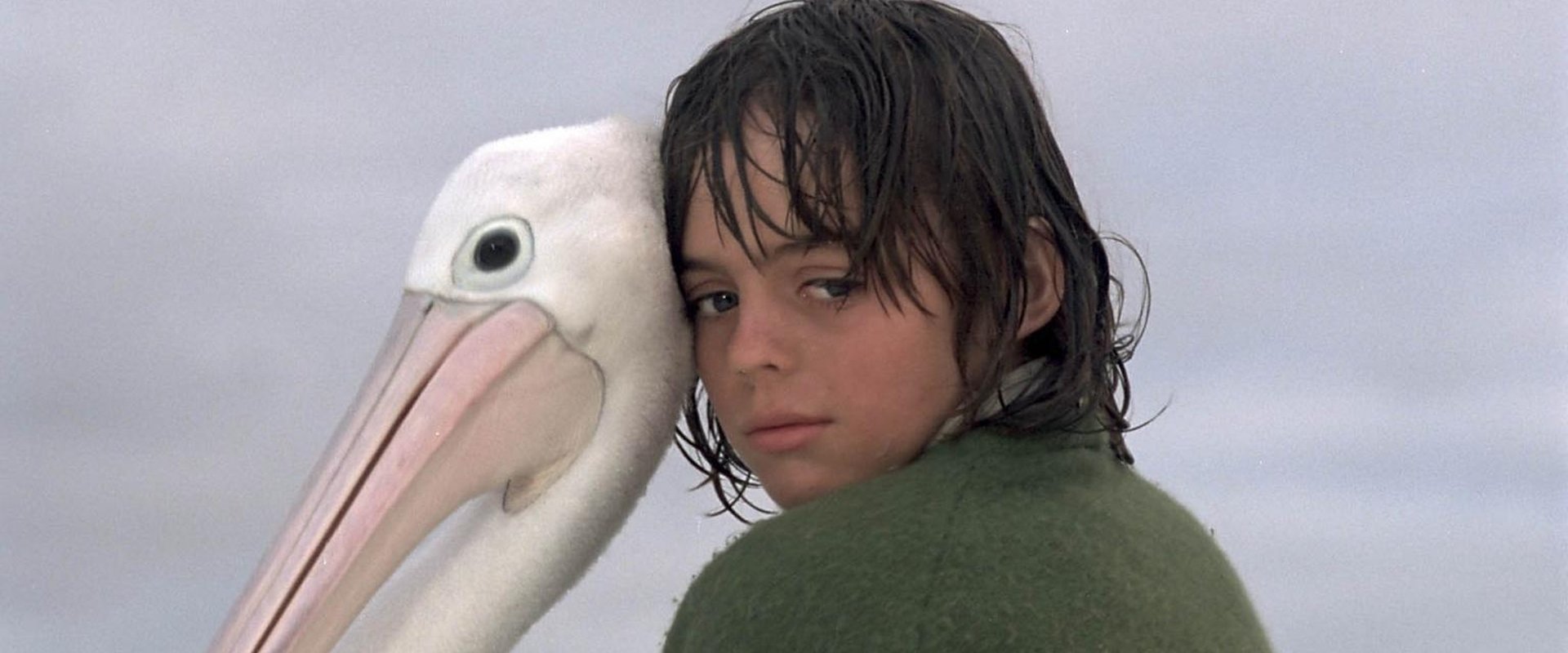 Storm Boy