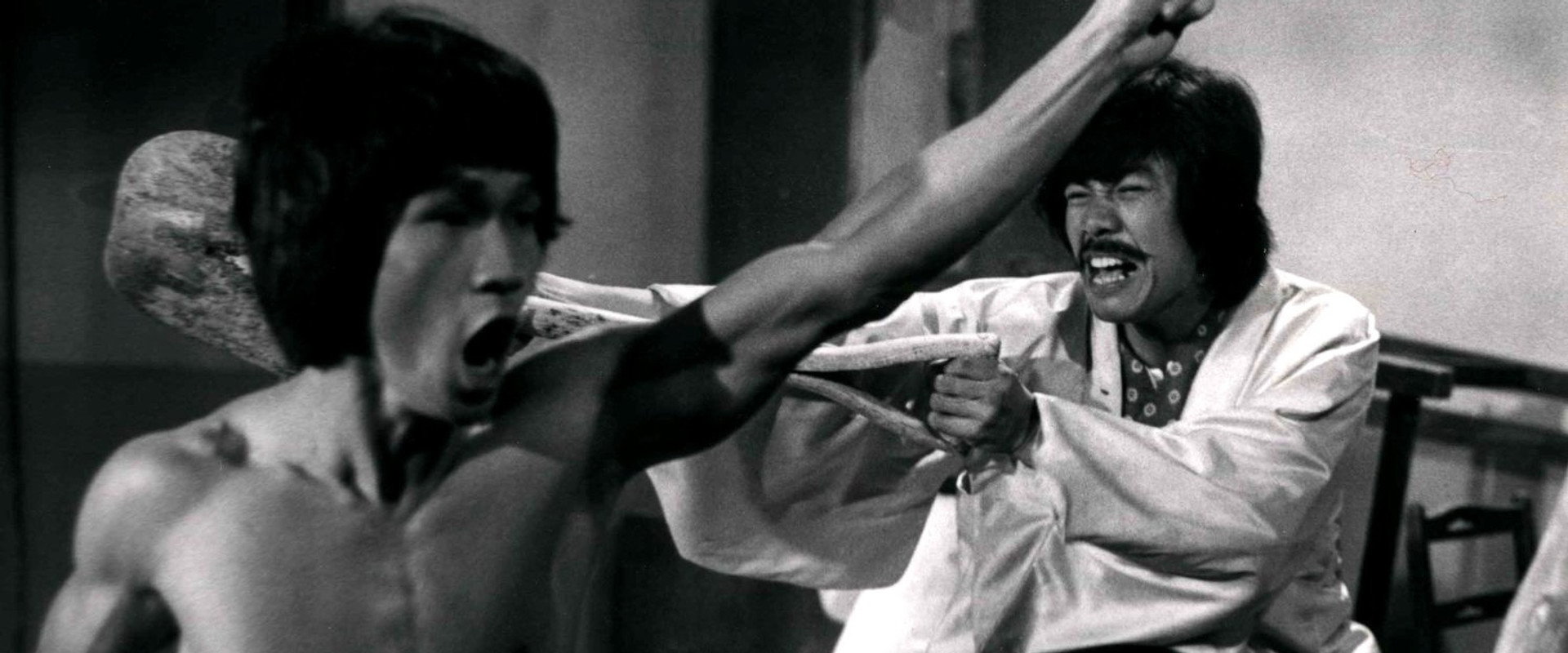 Bruce and the Dragon Fist's banner image