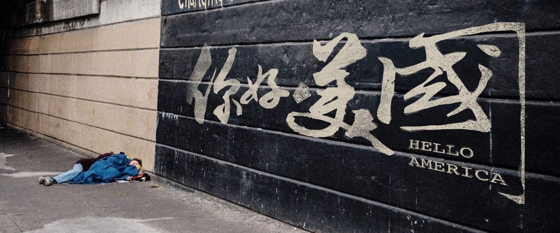 美洲大宝荐