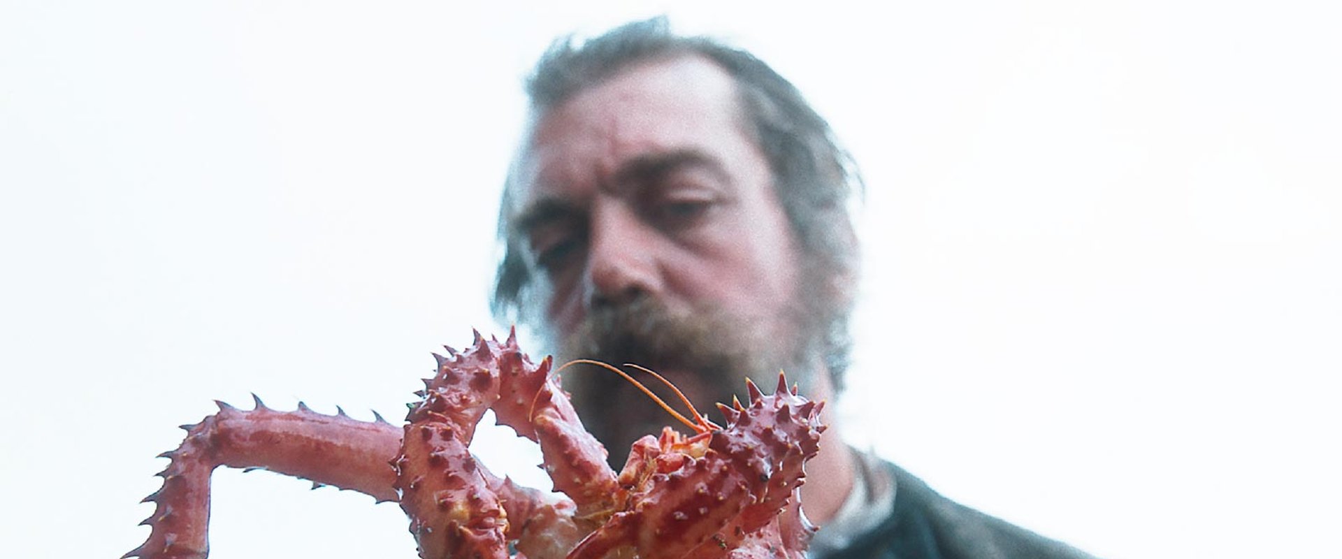 The Tale of King Crab