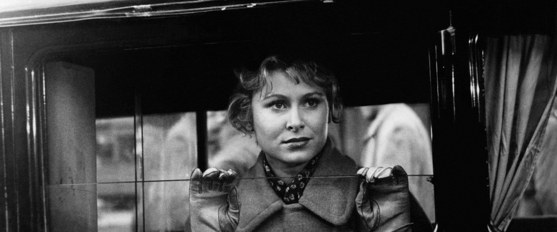 Lissy's banner image