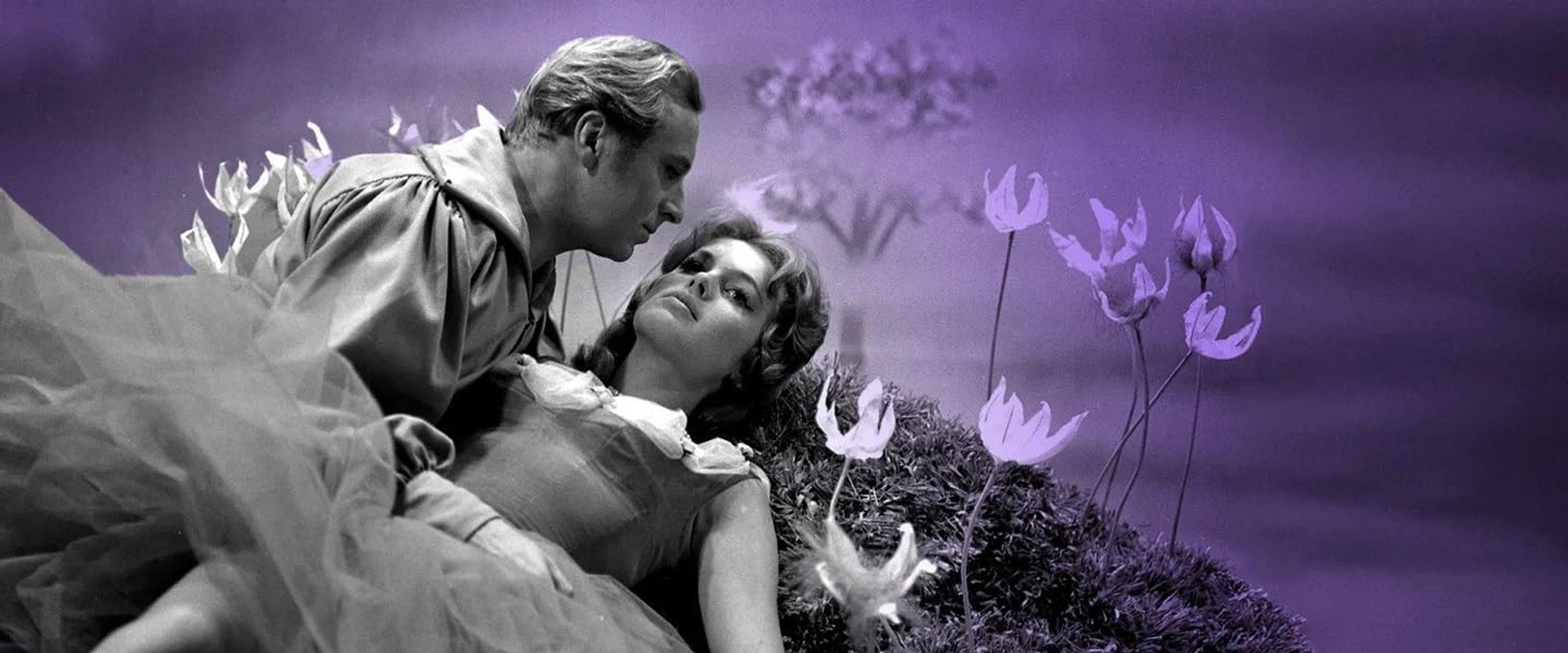 Sandhedens hævn's banner image