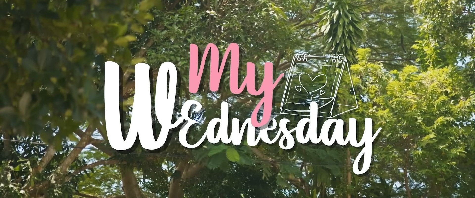 My Wednesday