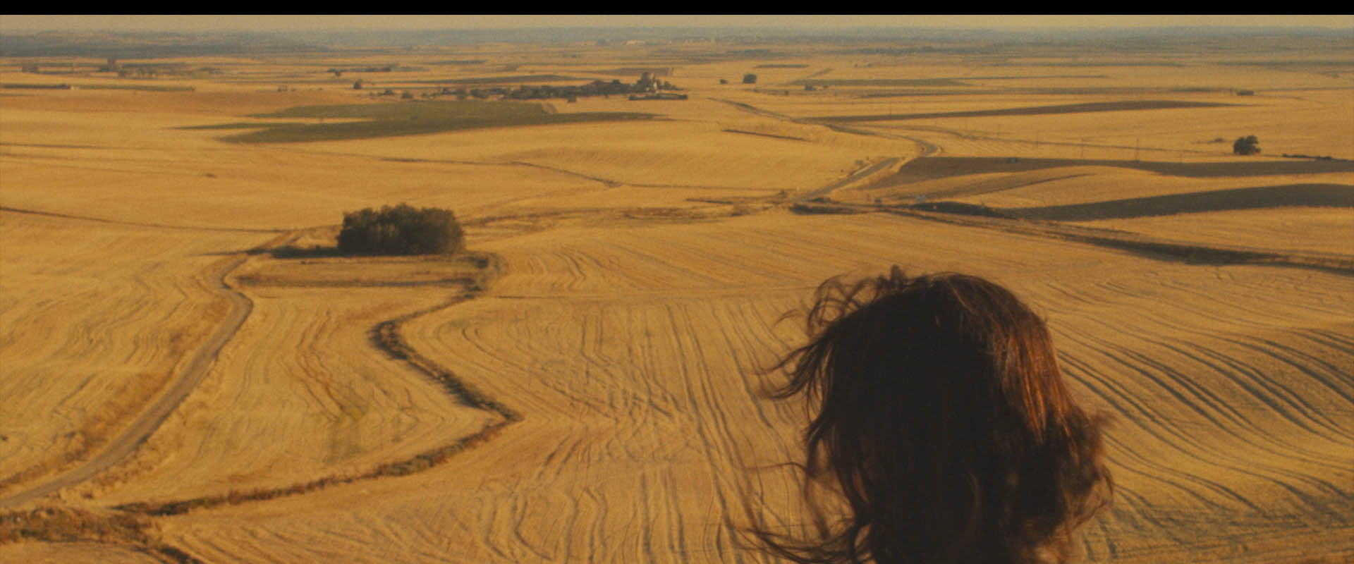Red Rooster's banner image