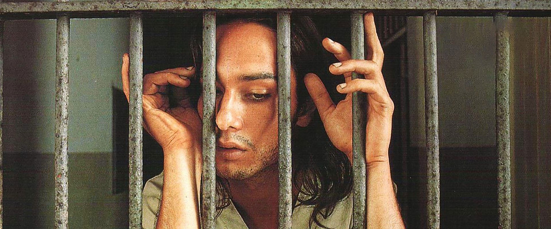 Bicho de Sete Cabeças