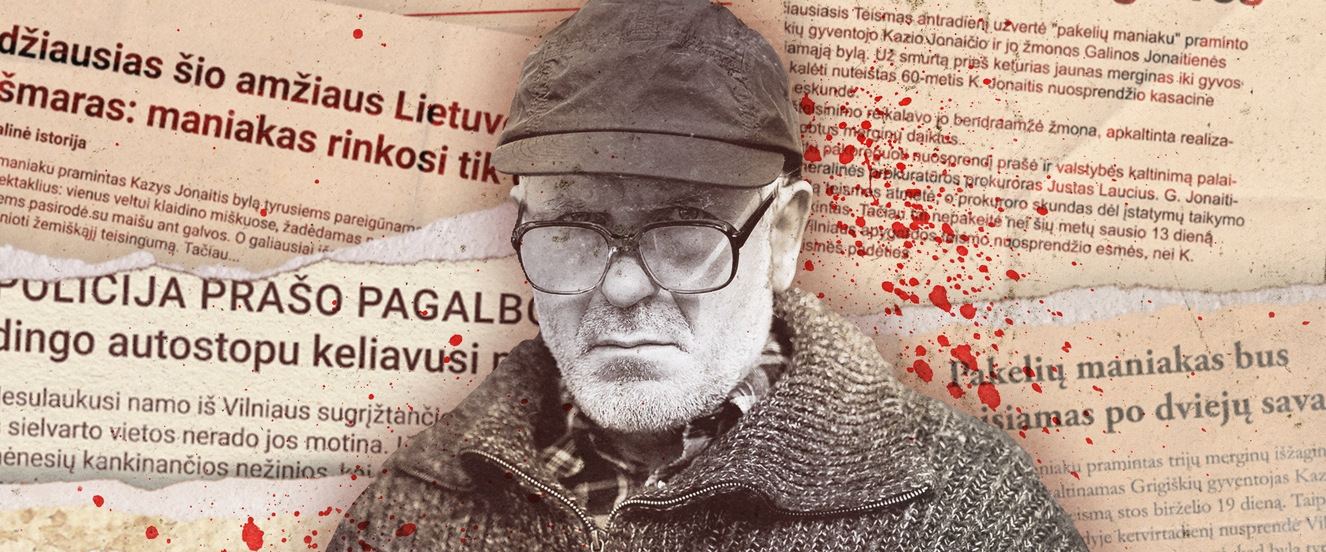 Lizdų ardytojas's banner image