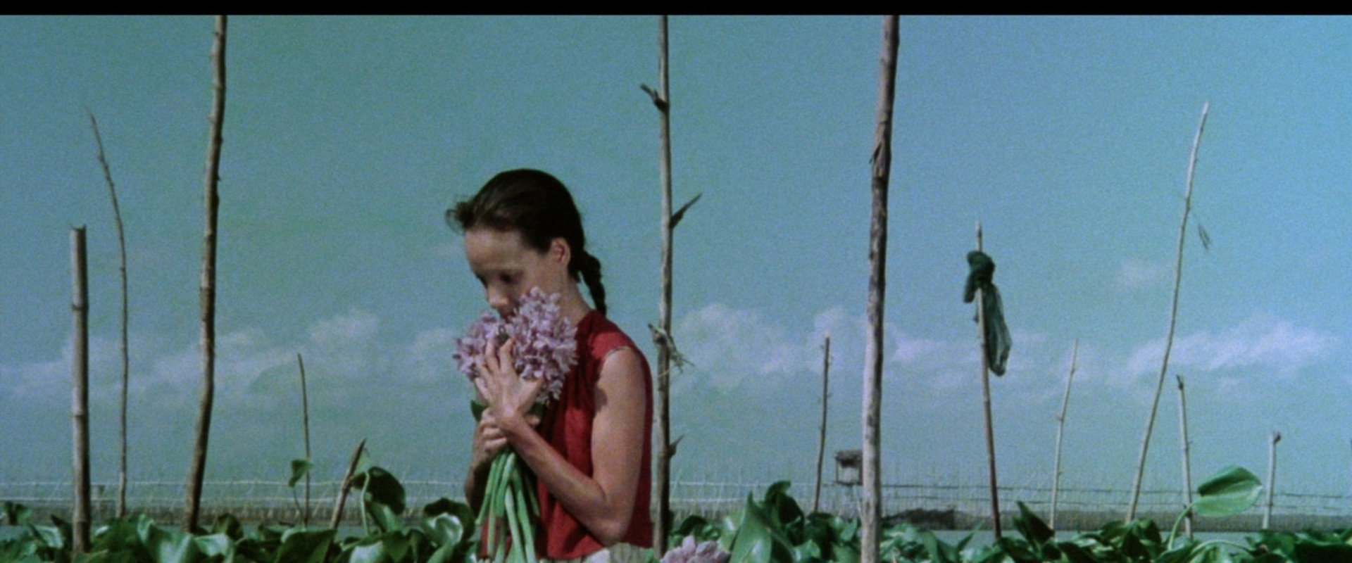 A Speck in the Water's banner image