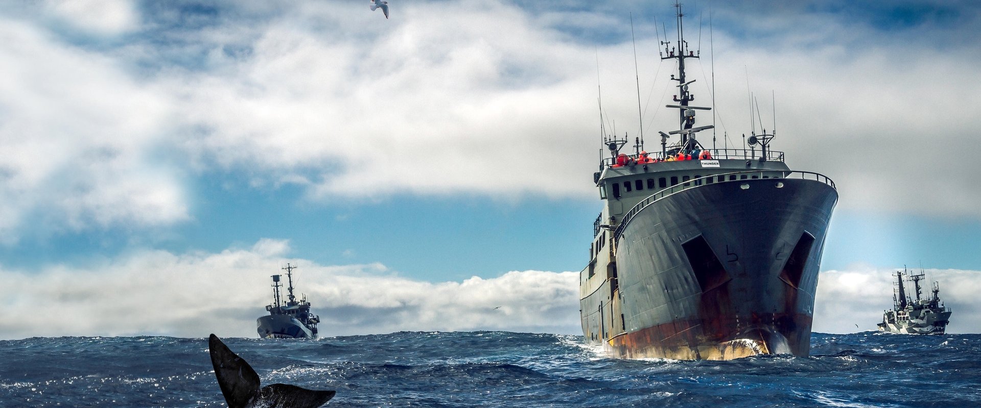 Ocean Warriors
