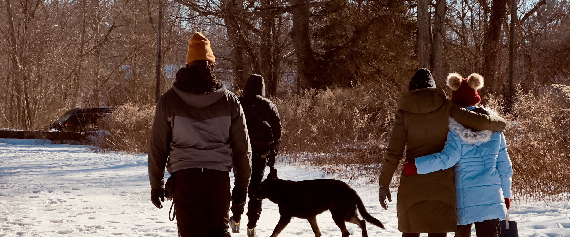 Not My Dog's banner image