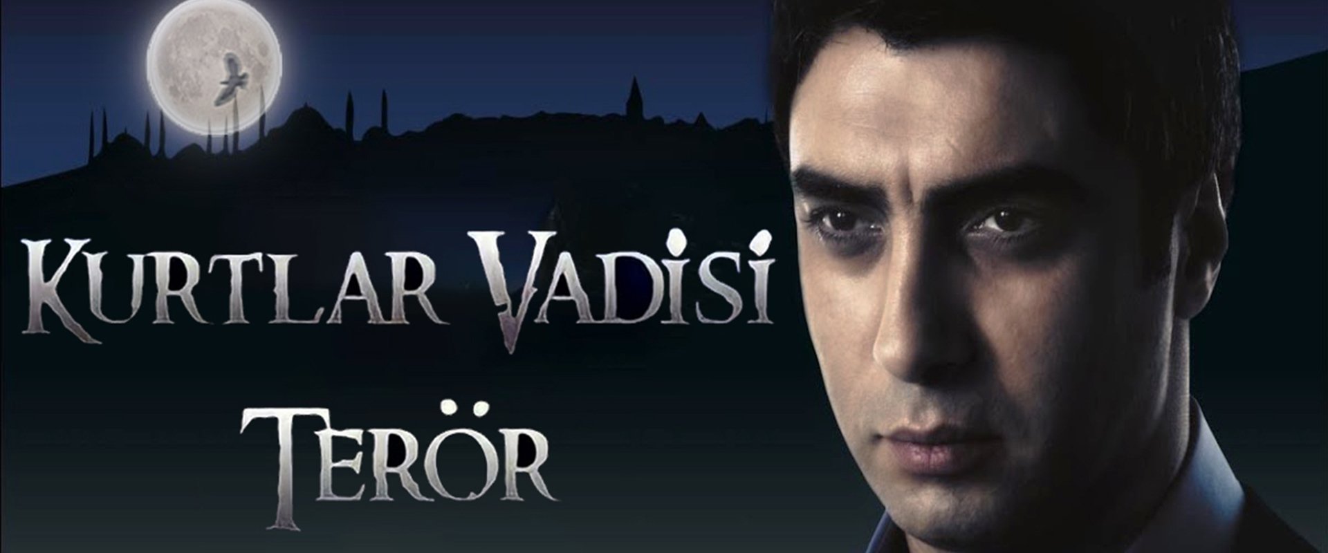 Valley of the Wolves: Terror
