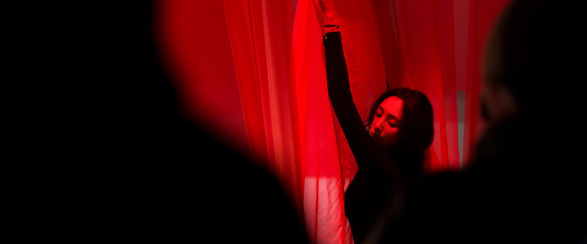 A Dance in Vain's banner image