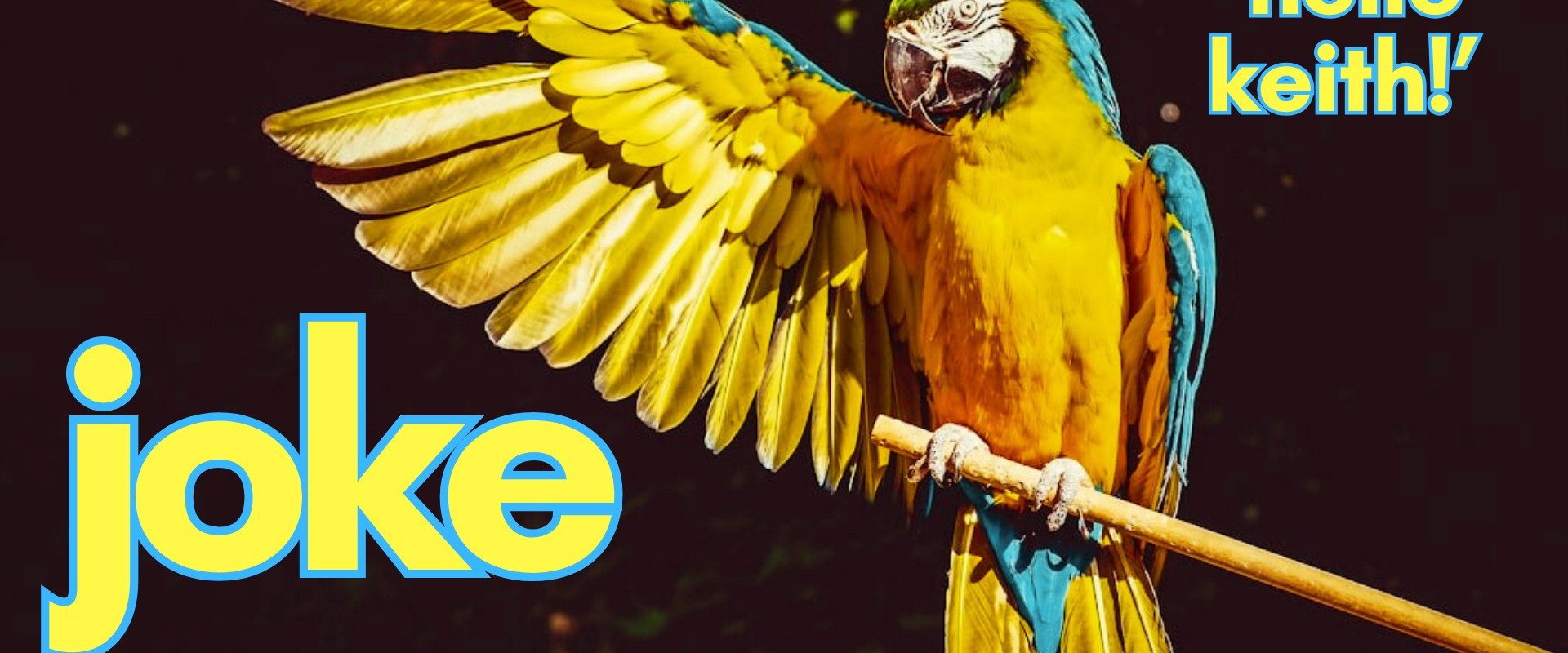 Joke's banner image