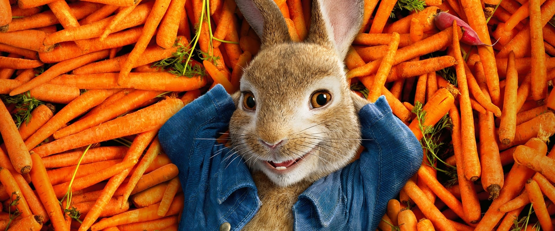 Peter Rabbit