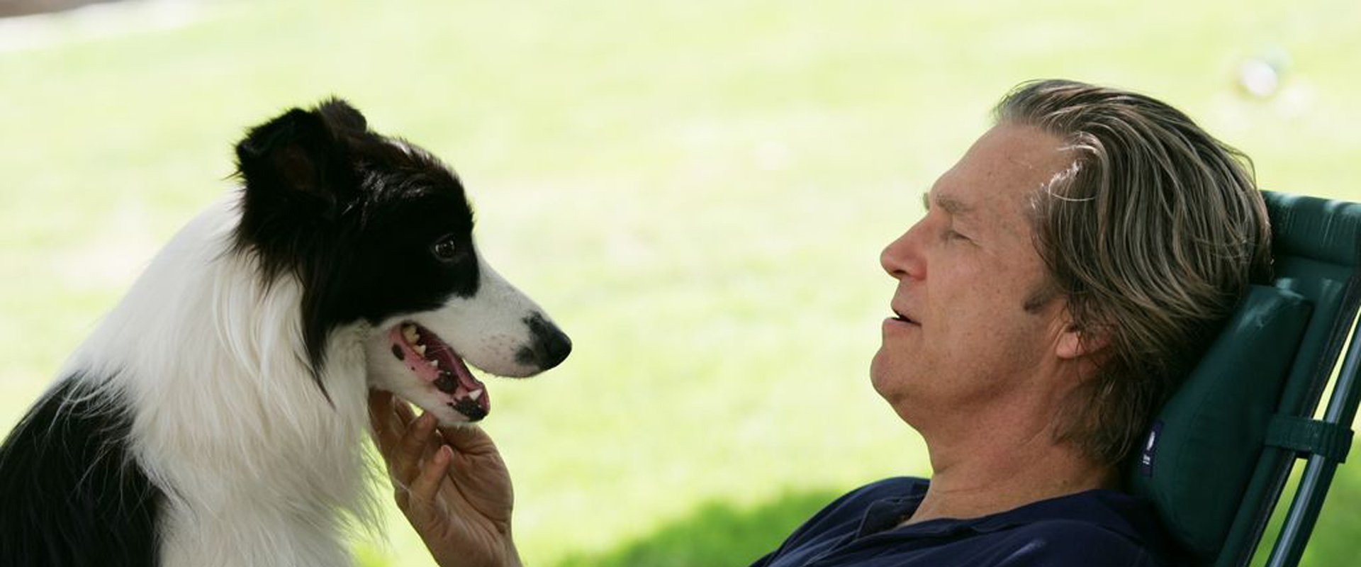 A Dog Year