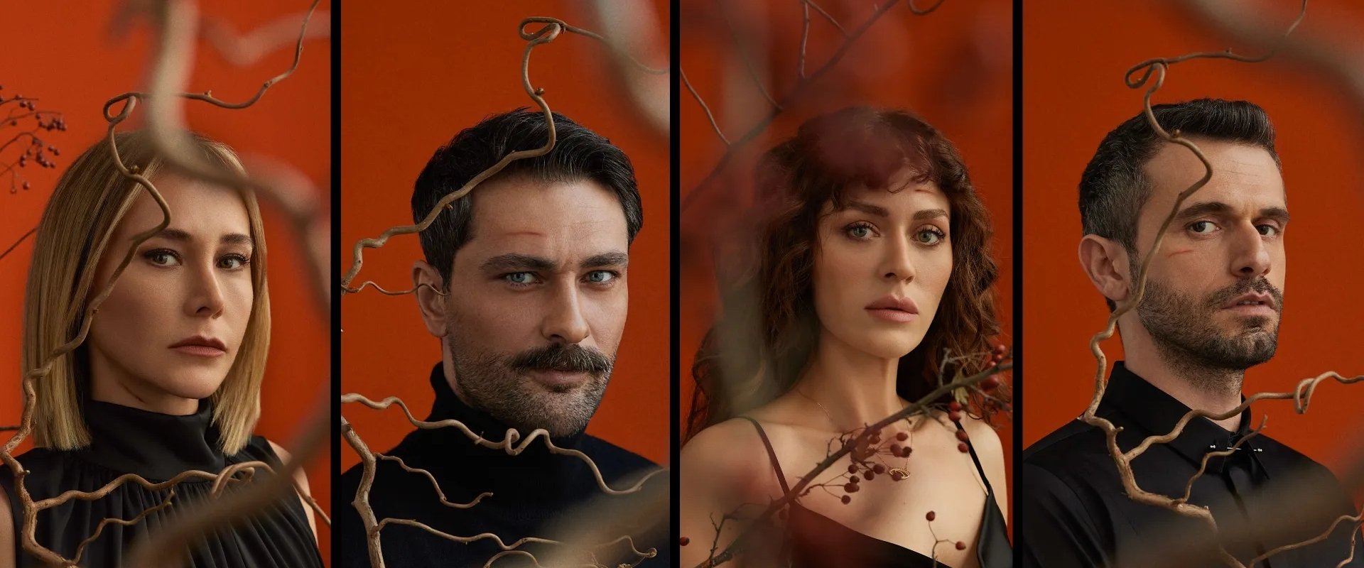 Sarmaşık Zamanı