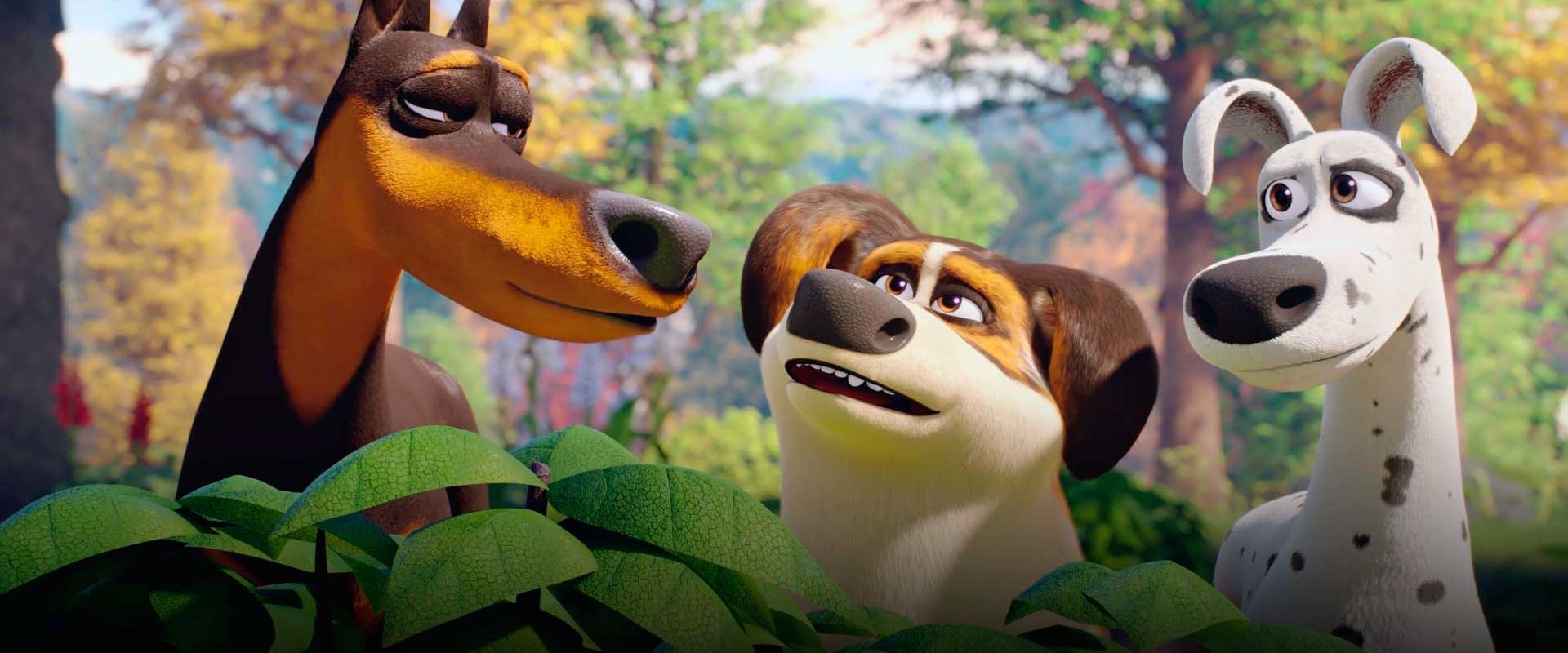 Trasto, de la mansion a la calle