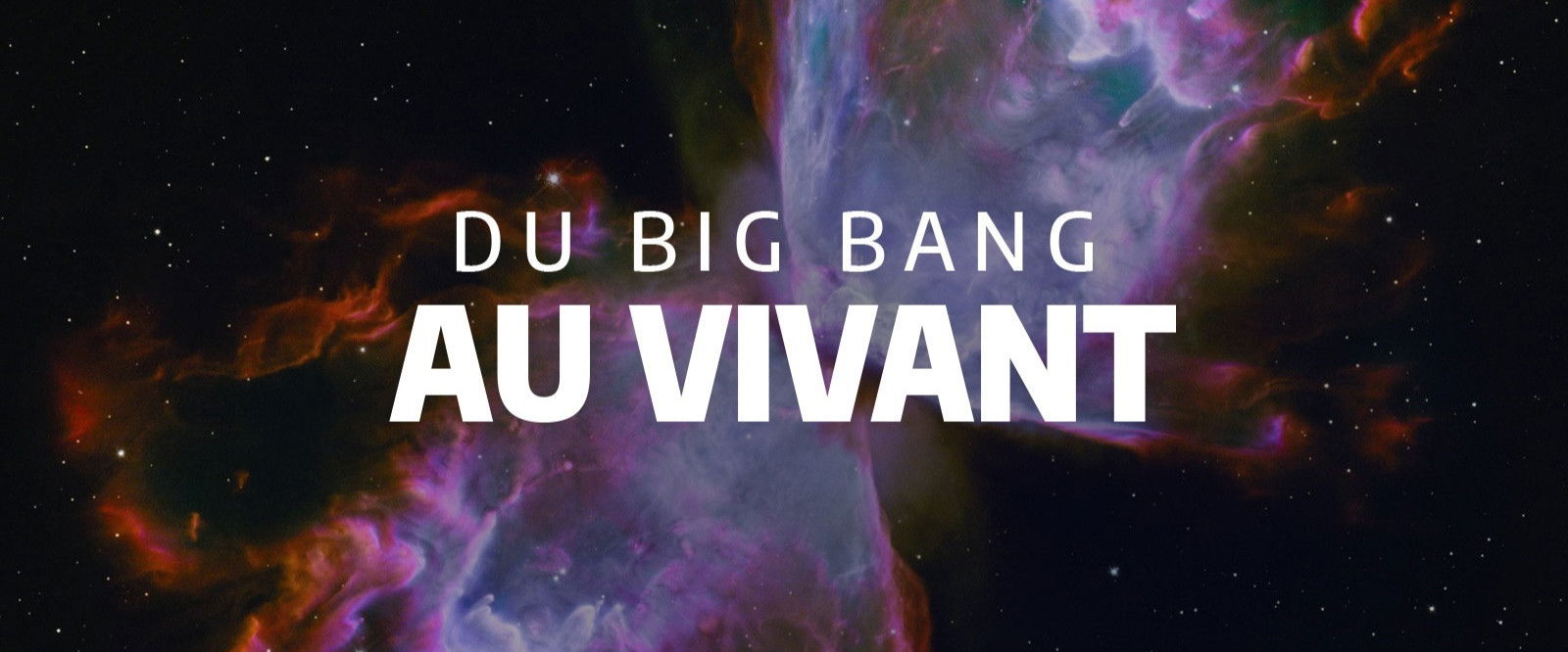 Du Big Bang au vivant