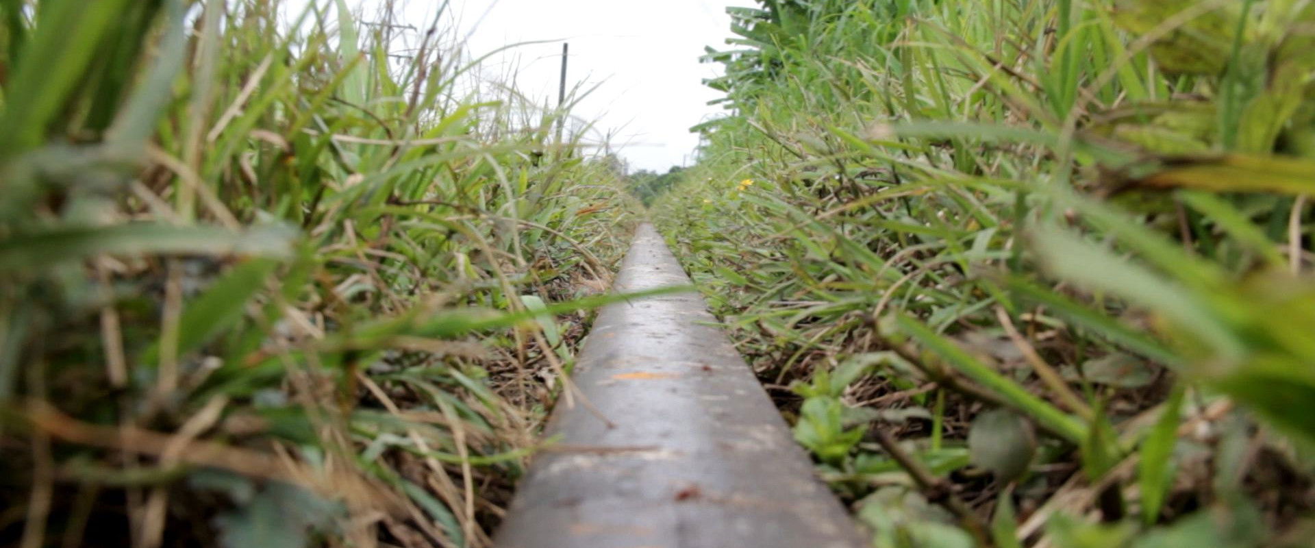 The Devil's Elbow's banner image