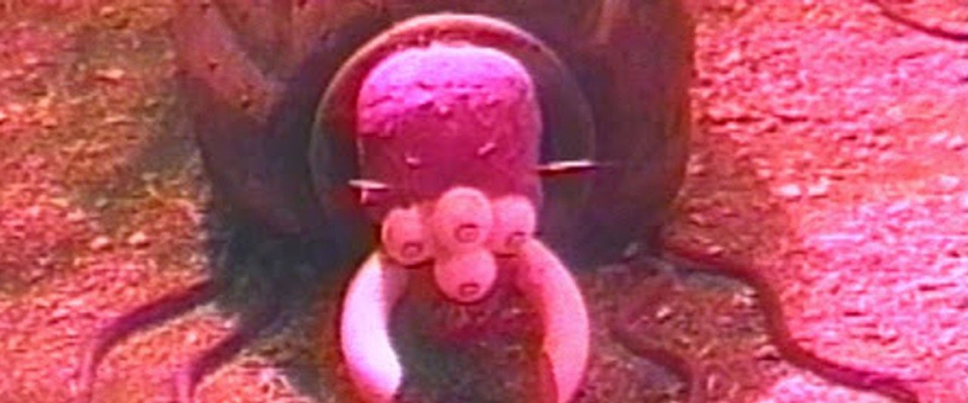 Night Crawlers's banner image