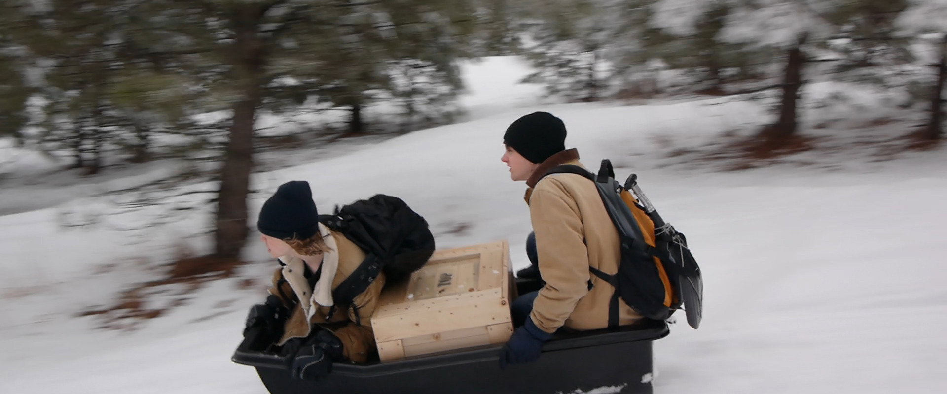 Treasure State's banner image