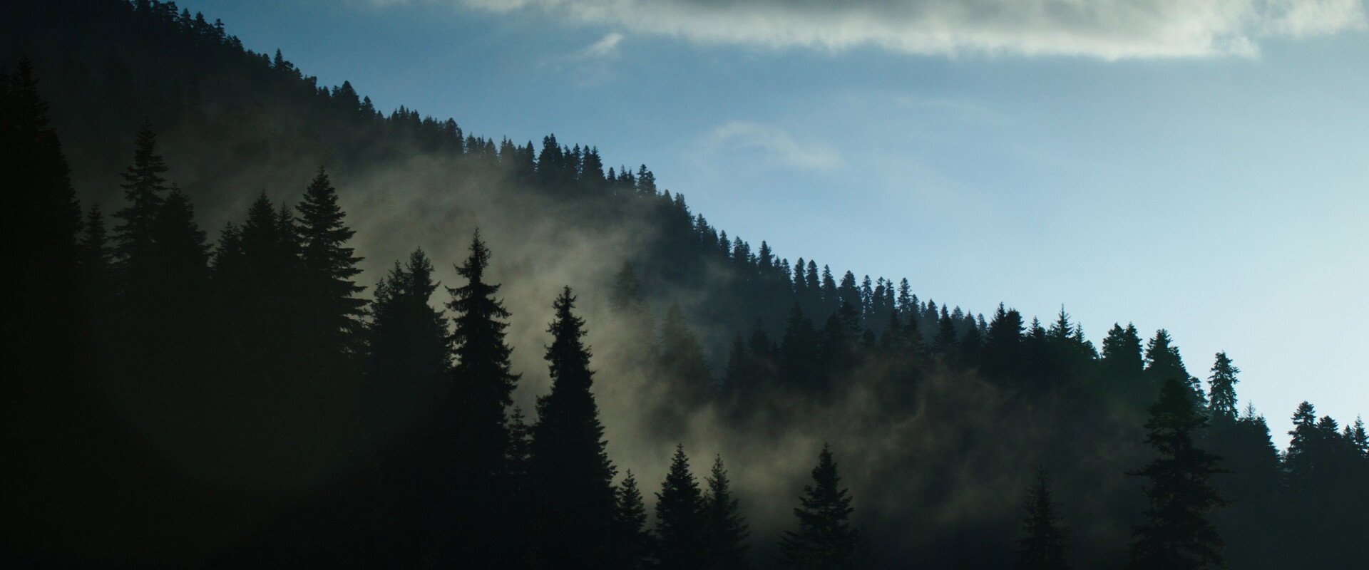 Innermost's banner image