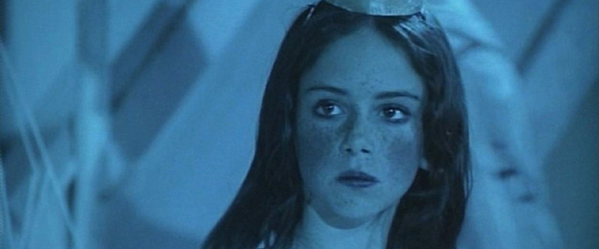 The Last Butterfly's banner image