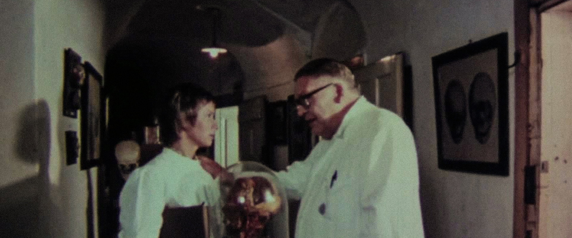 Slaughter Day's banner image