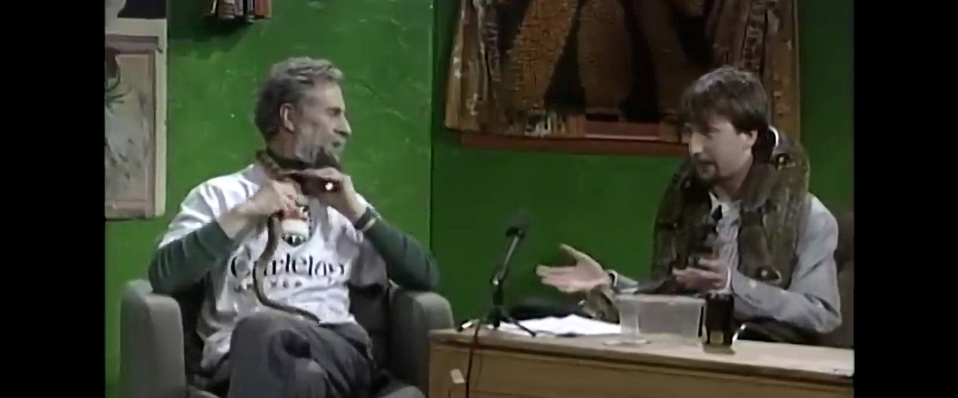The Tom Green Show's banner image