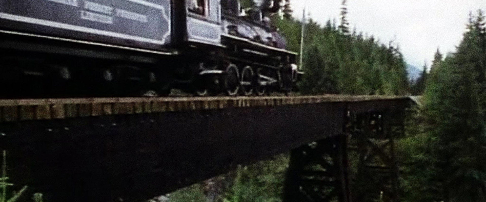 Battle for the Trees