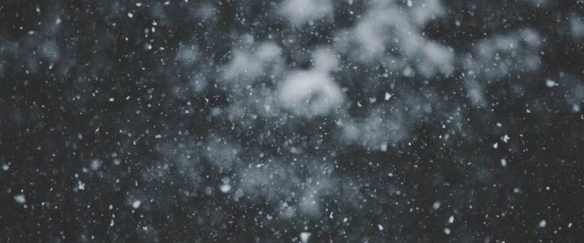 Wintergasten's banner image