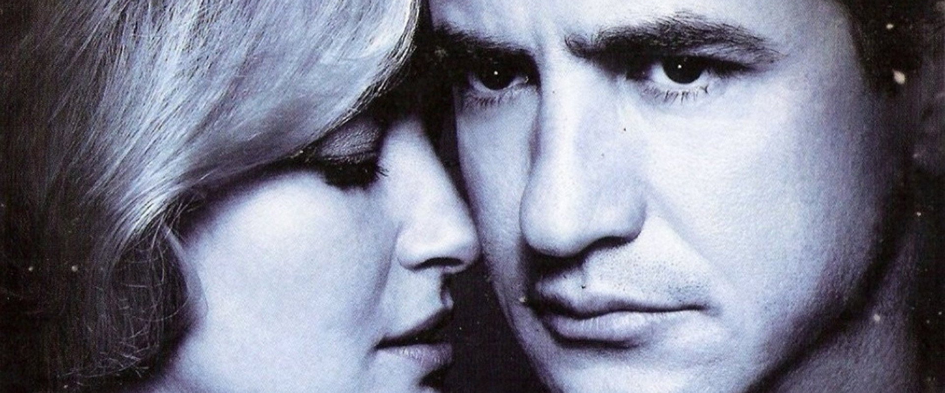 The Memory Keeper's Daughter's banner image