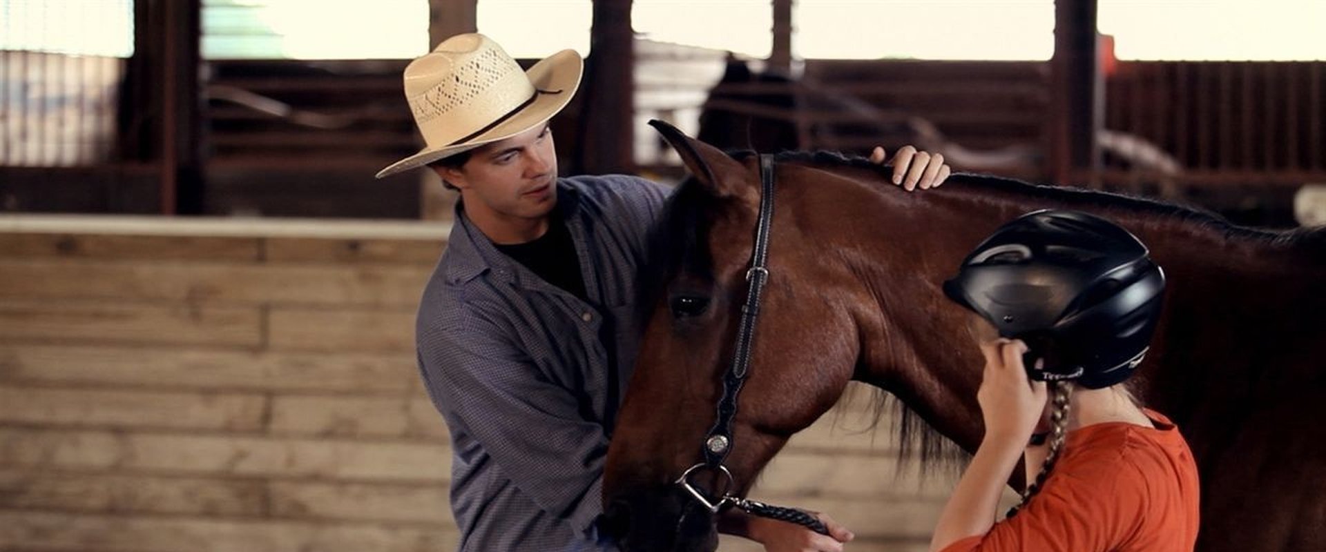 A Horse Called Bear