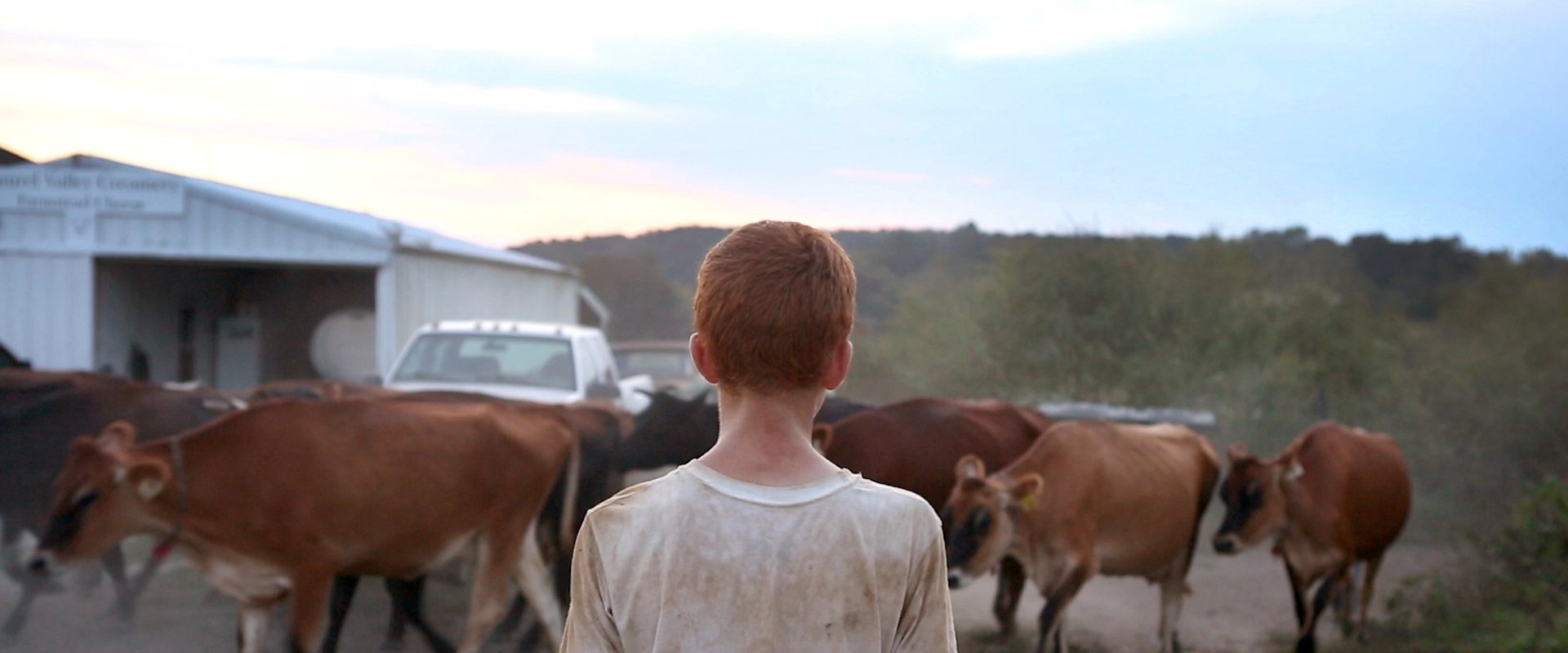 Farmsteaders