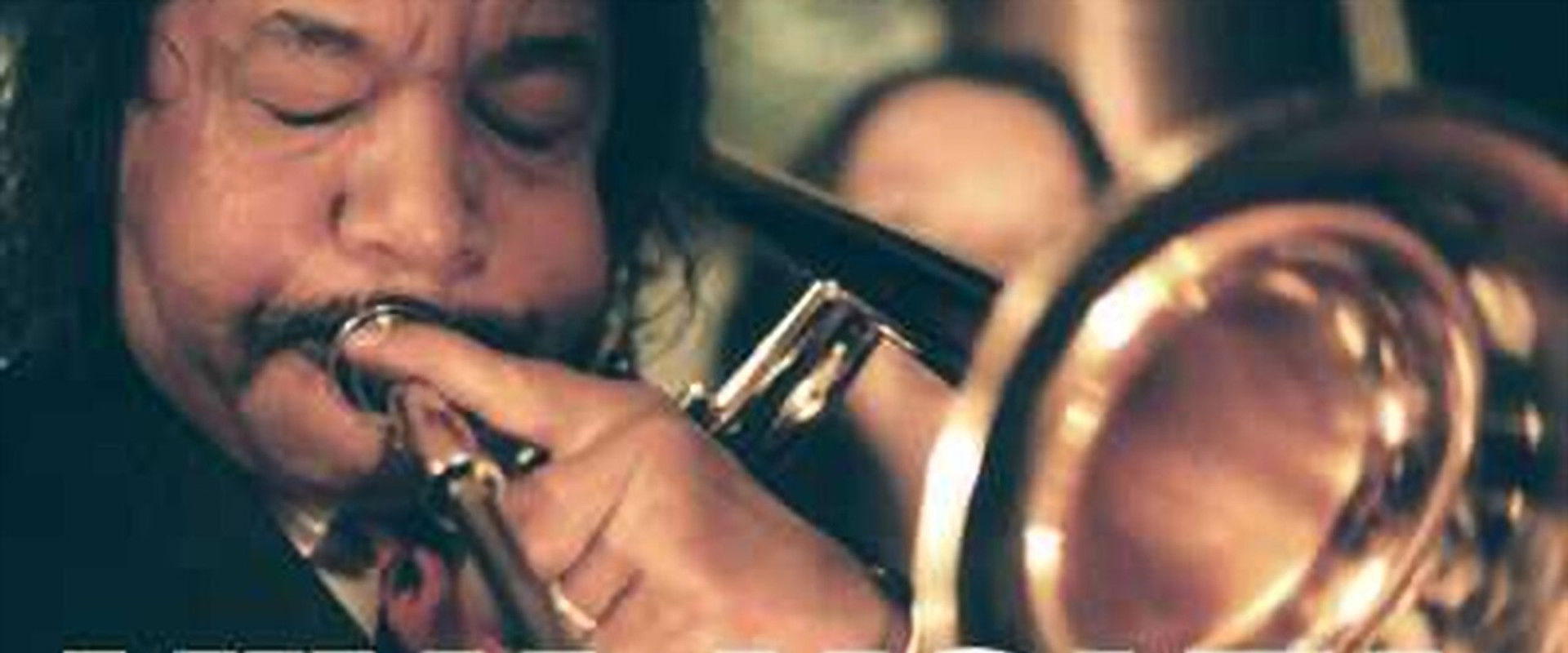 Viva Volta's banner image