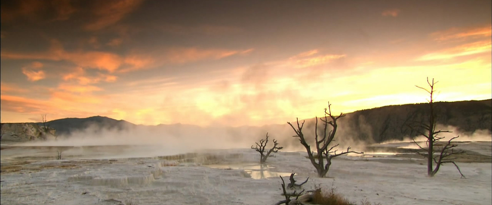 Inside Planet Earth's banner image
