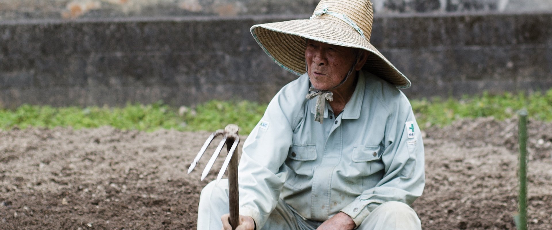 The Longevity Film