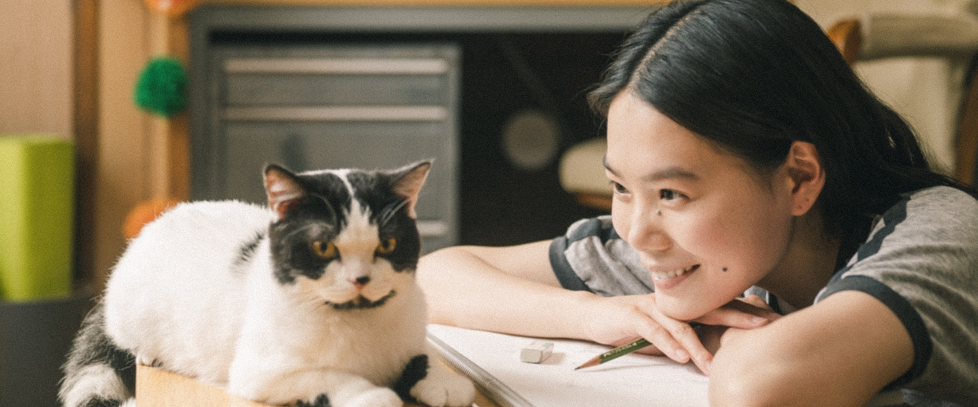 Straying's banner image