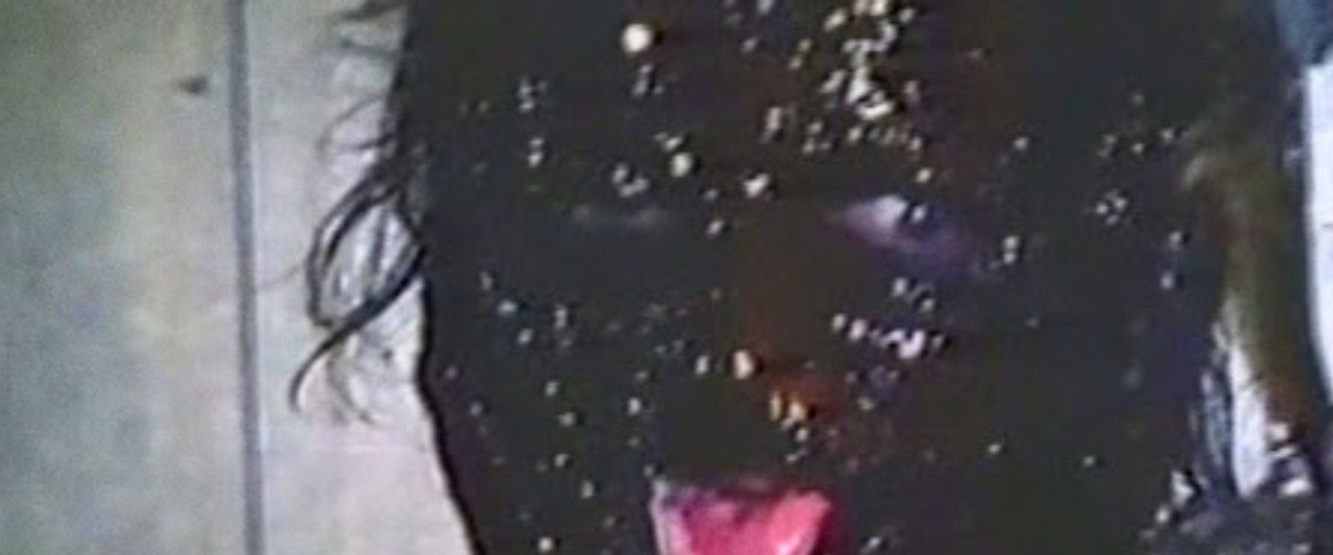 零地带:活尸进攻