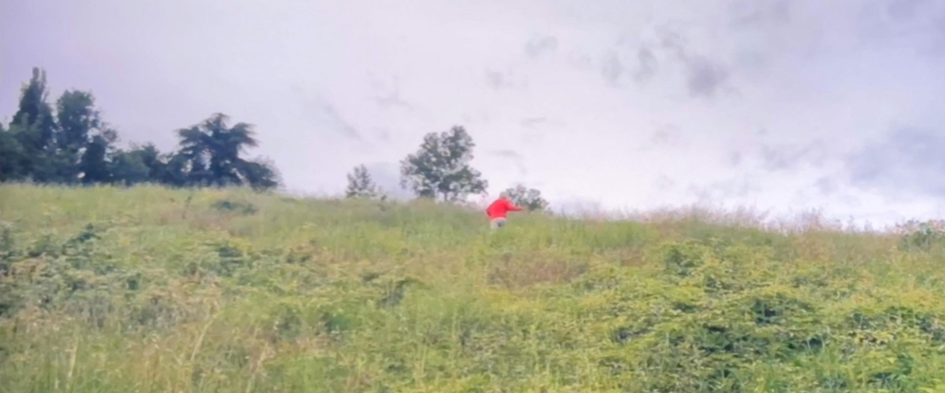 Camaraderie's banner image