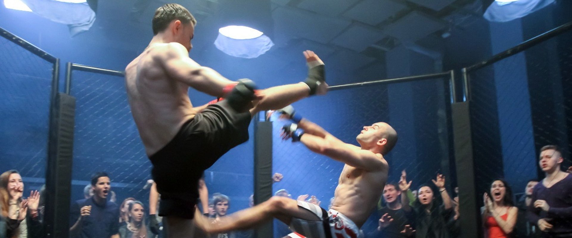 The Fight Rules