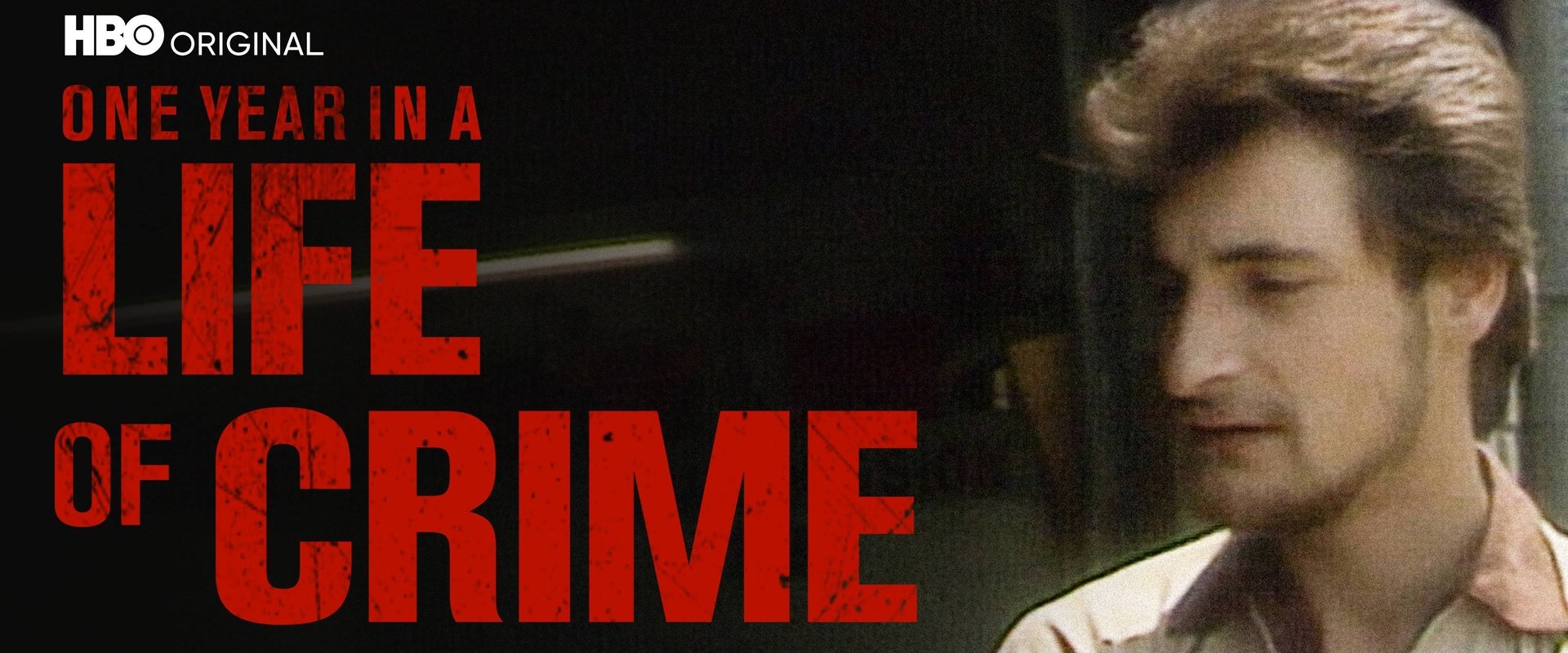 One Year in a Life of Crime