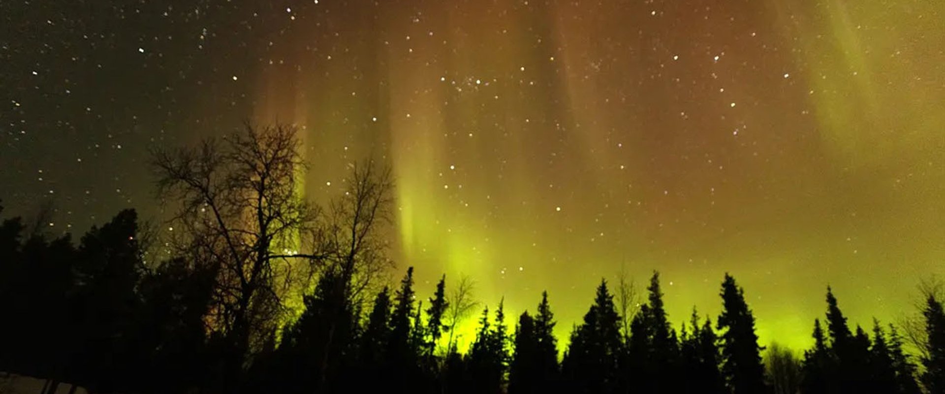 Spectacular Earth