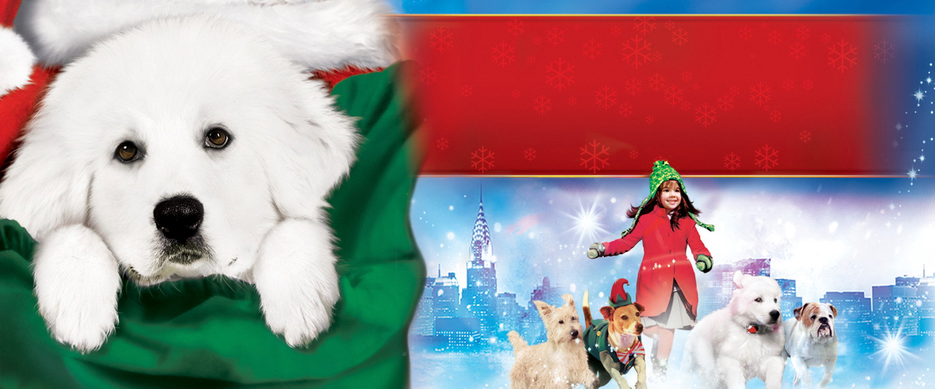 The Search for Santa Paws's banner image