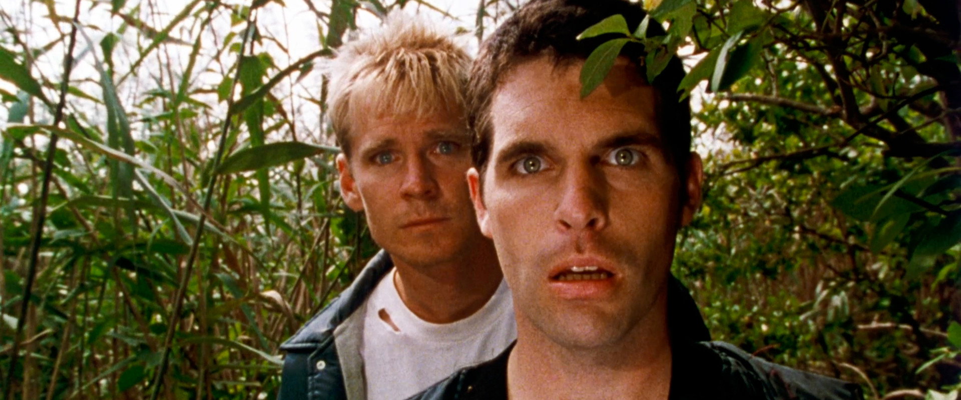Joe & Joe